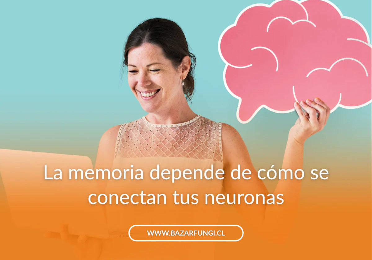 Nootrópicos para mejorar la memoria: cómo funcionan y qué puedes esperar