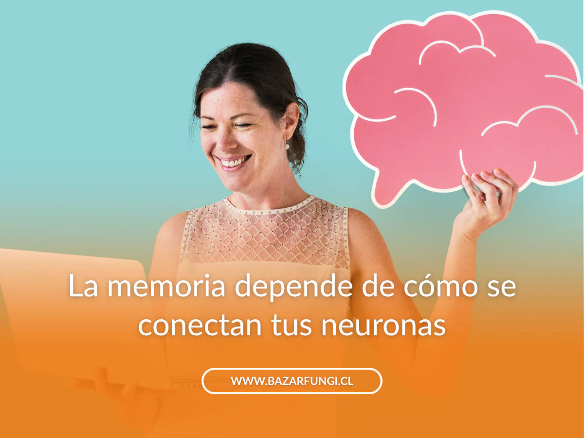 Nootrópicos memoria