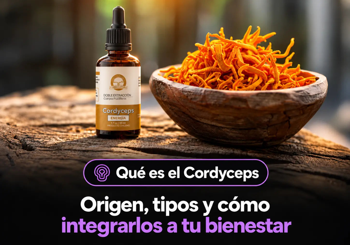 Qué es el Cordyceps: origen, tipos y cómo integrarlo a tu bienestar
