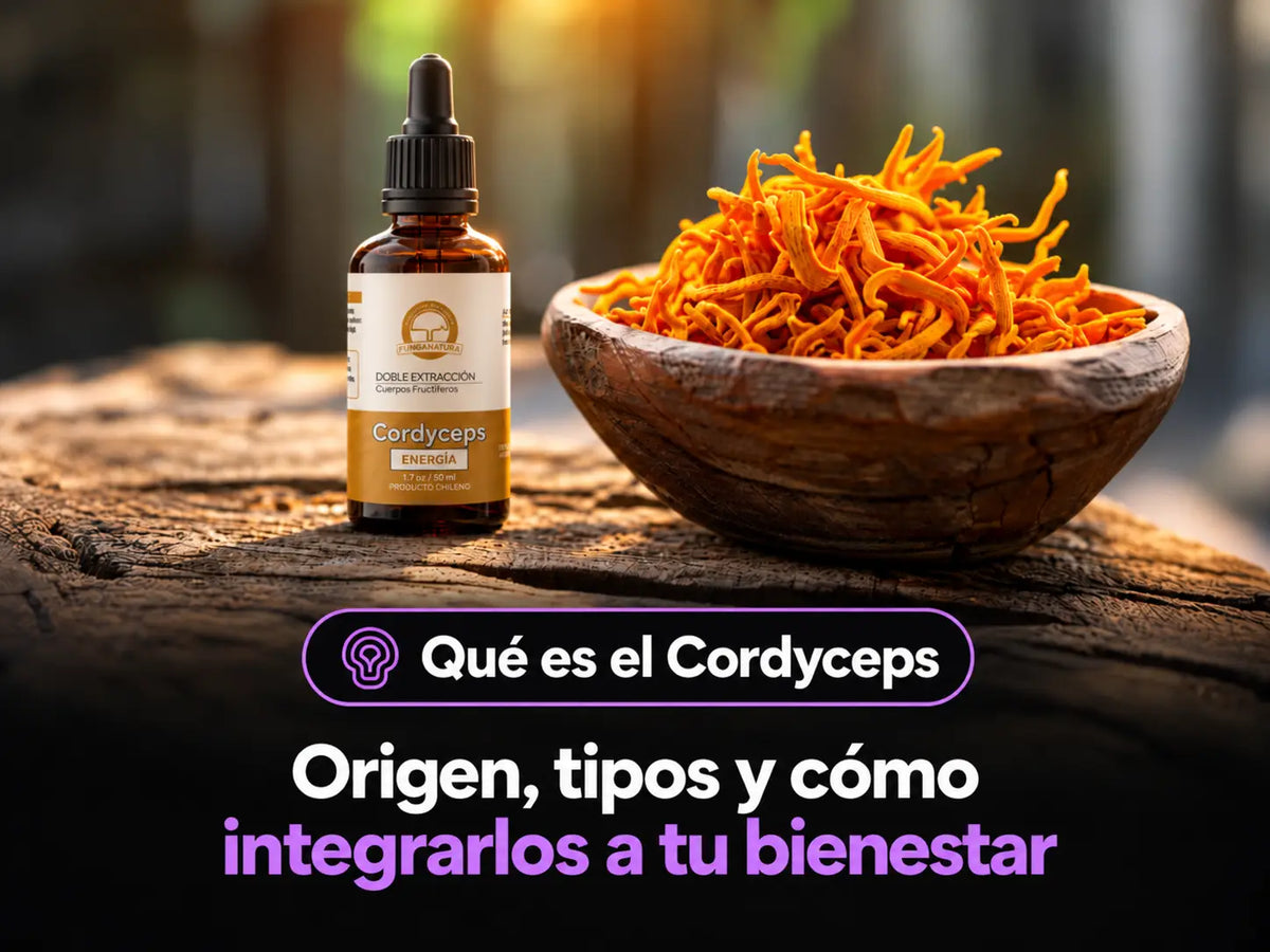 Qué es el Cordyceps