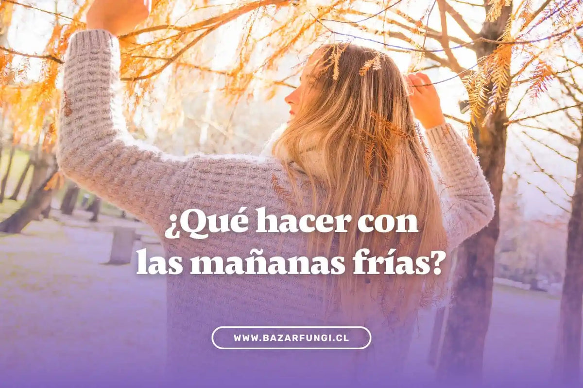 Mañanas frías de otoño: consejos para el bienestar y cómo apoyarse con hongos