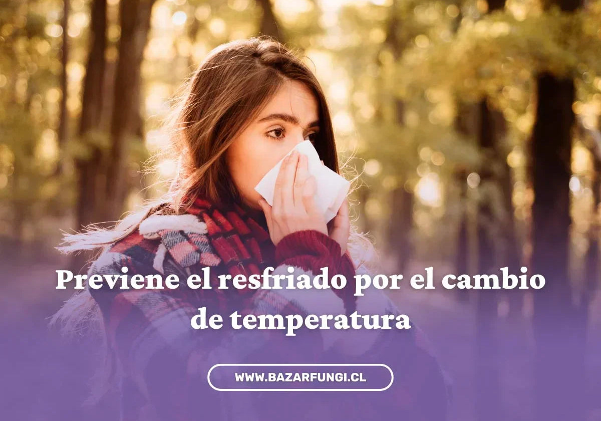 Resfriado por cambio de temperatura: cómo prevenirlo con la ayuda de los hongos
