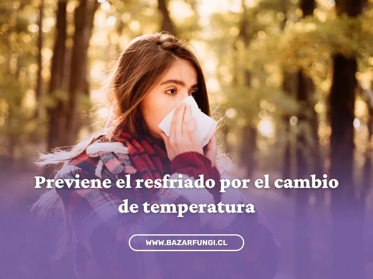 Resfriado por cambio de temperatura: cómo prevenirlo con la ayuda de los hongos
