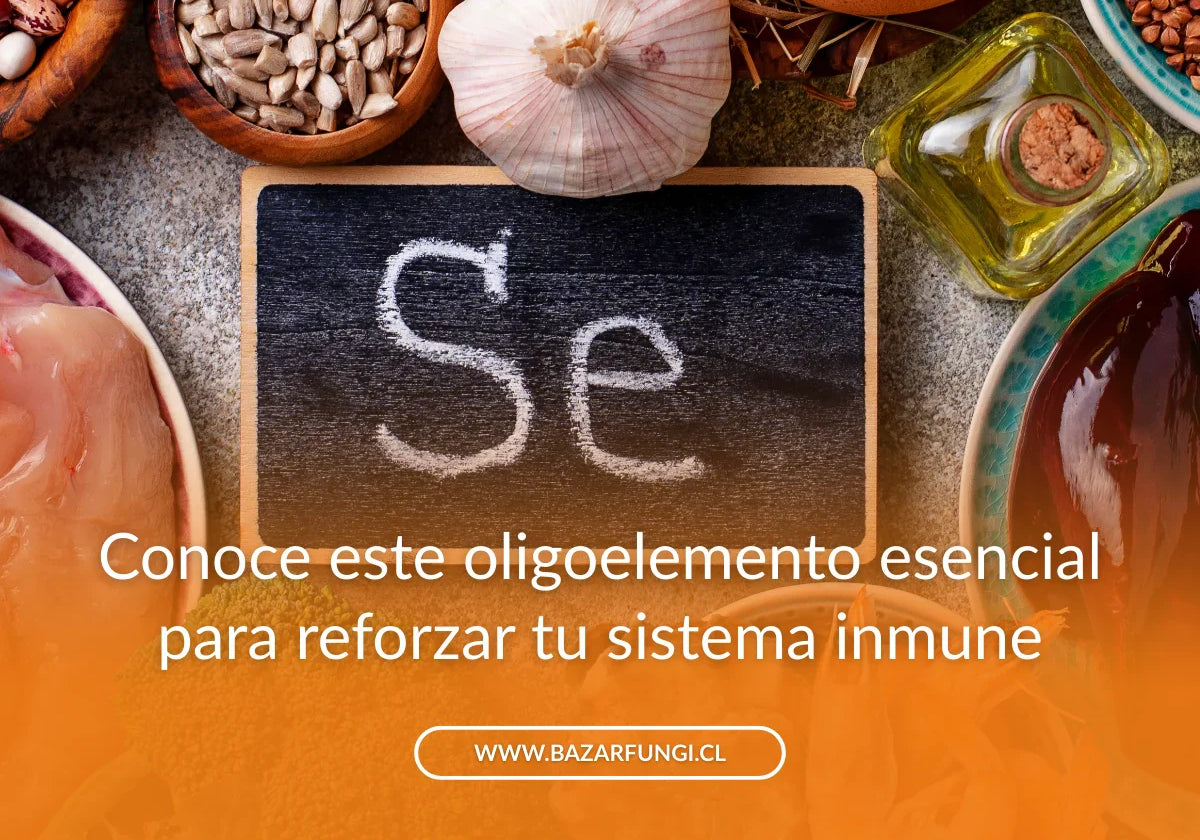 Selenio: para qué sirve, beneficios y en qué alimentos se encuentra