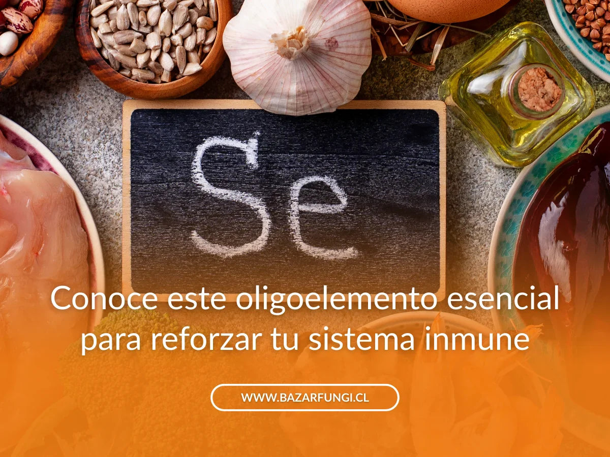 Selenio: para qué sirve, beneficios y en qué alimentos se encuentra