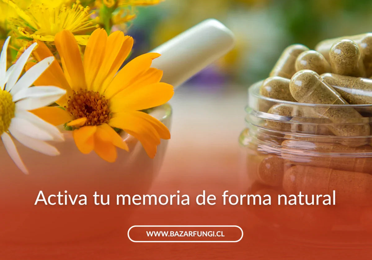 Suplementos naturales para la memoria: cuáles ayudan a concentrarte mejor