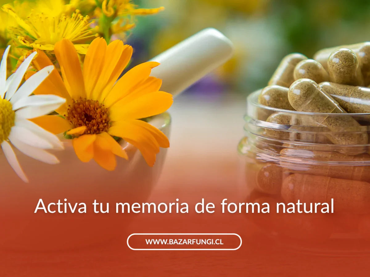 Suplementos naturales para la memoria