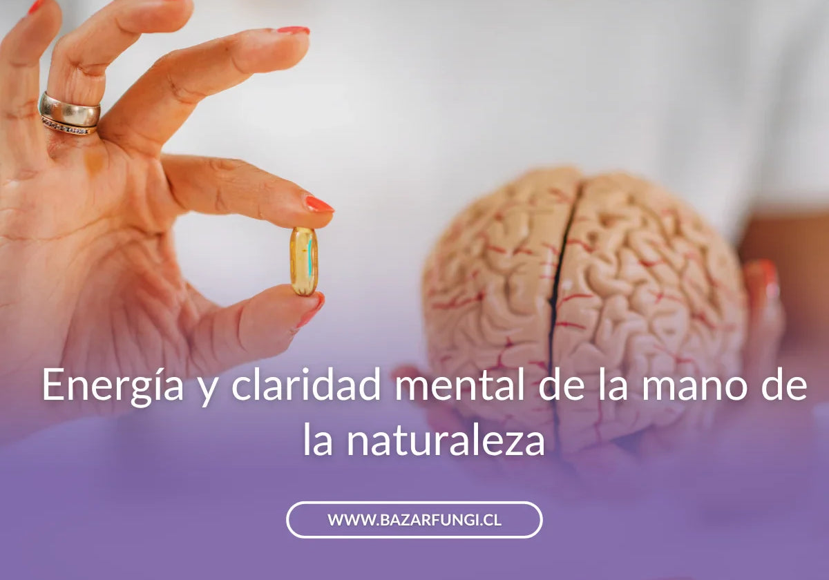 Suplementos para el cerebro: cuáles funcionan