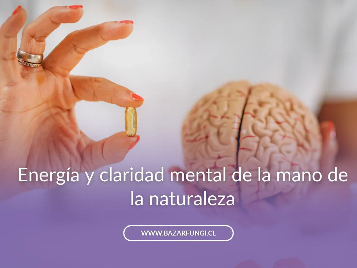 Suplementos para el cerebro: cuáles funcionan