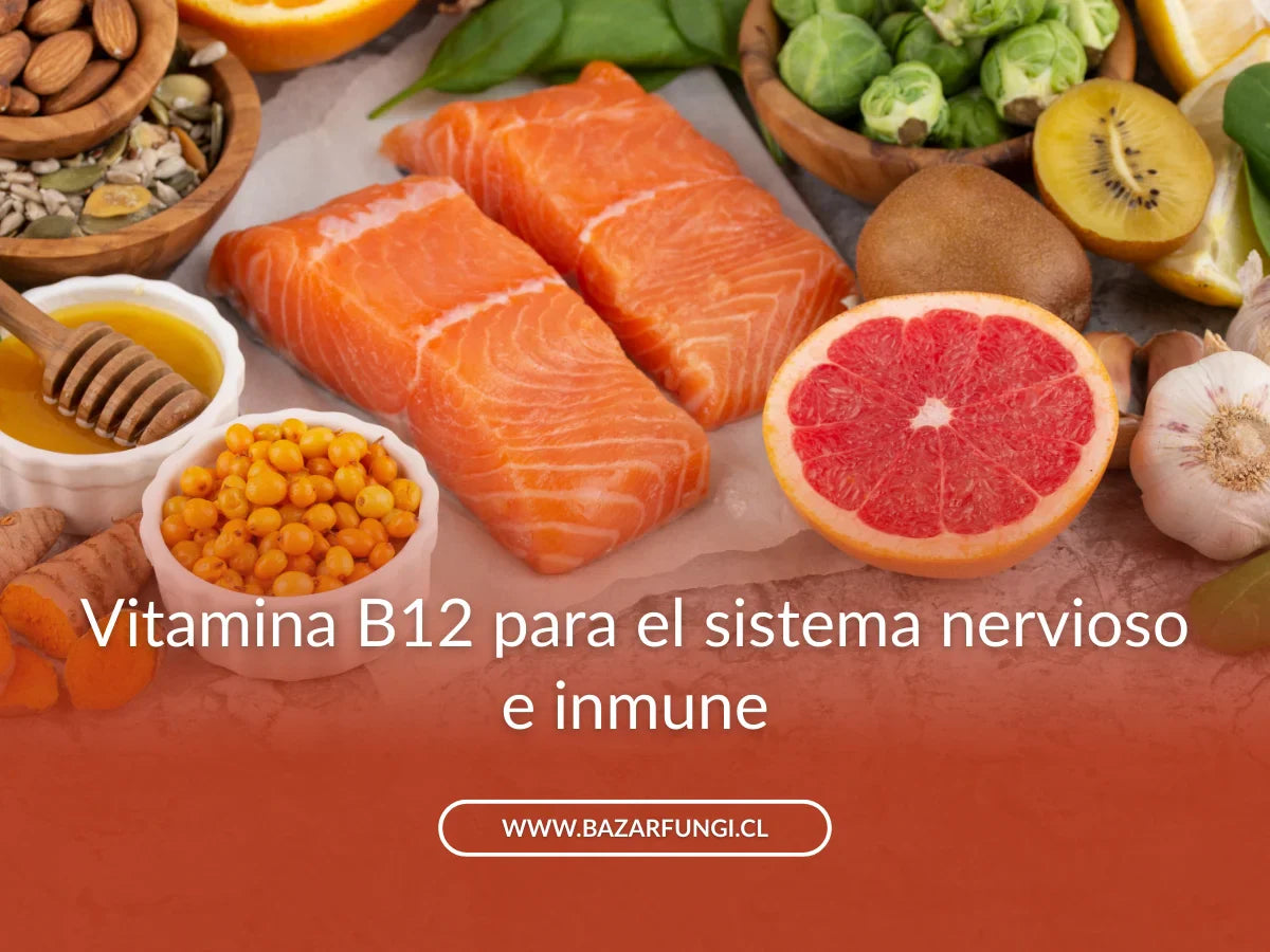 Vitamina B12: qué es, para qué sirve y cómo obtenerla de forma natural