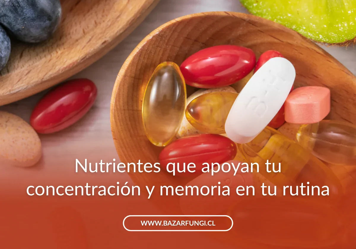 Vitaminas para el cerebro y sistema nervioso: nutrientes para tu rutina
