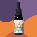 Chaga Concentrado 1:2