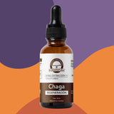 Chaga Concentrado 1:1
