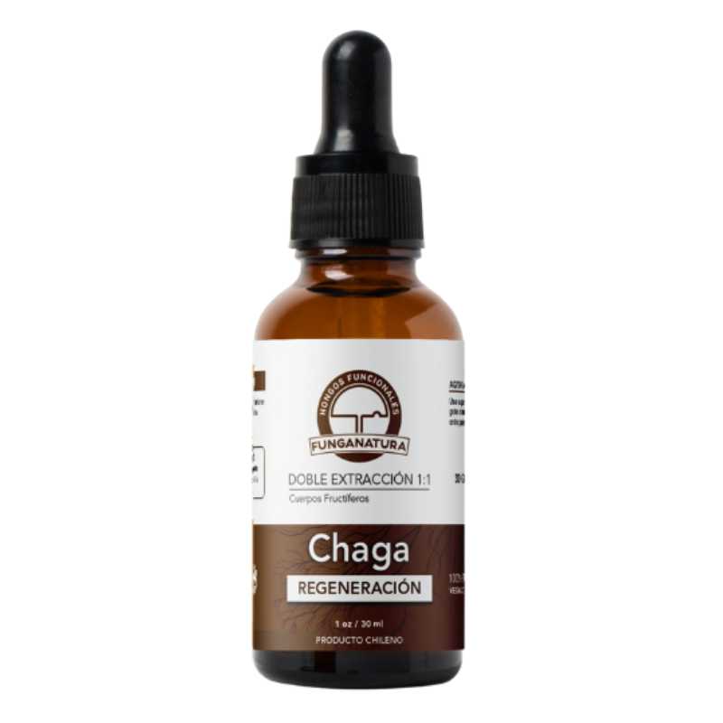 Chaga Concentrado 1:1