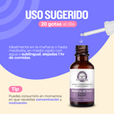 Melena de león Extracto/Gotas 30ml Extra Concentrado