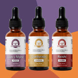 Tripack Equilibrio Energético Concentrado