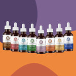 Pack 8 Hongos Extra Concentrados