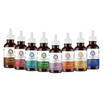 Pack 8 Hongos Extra Concentrados