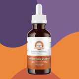 Agaricus blazei Extra Concentrado