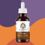 Chaga Extra Concentrado