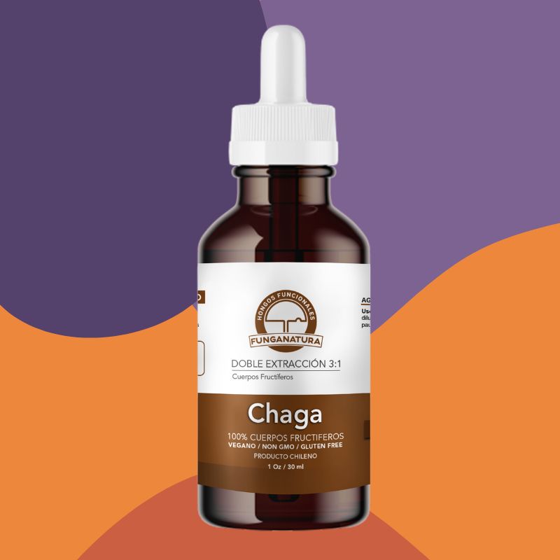 Chaga Extra Concentrado