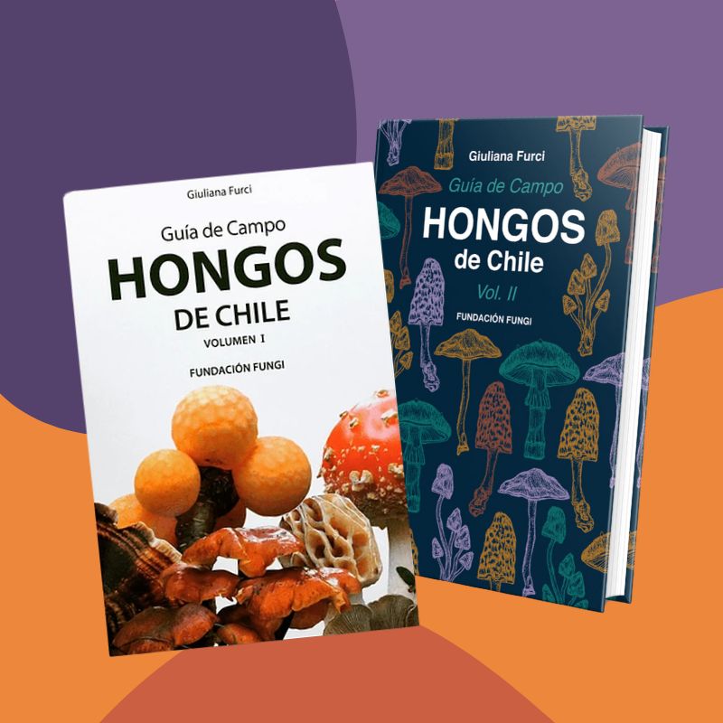 Pack Guías de Campo Hongos de Chile