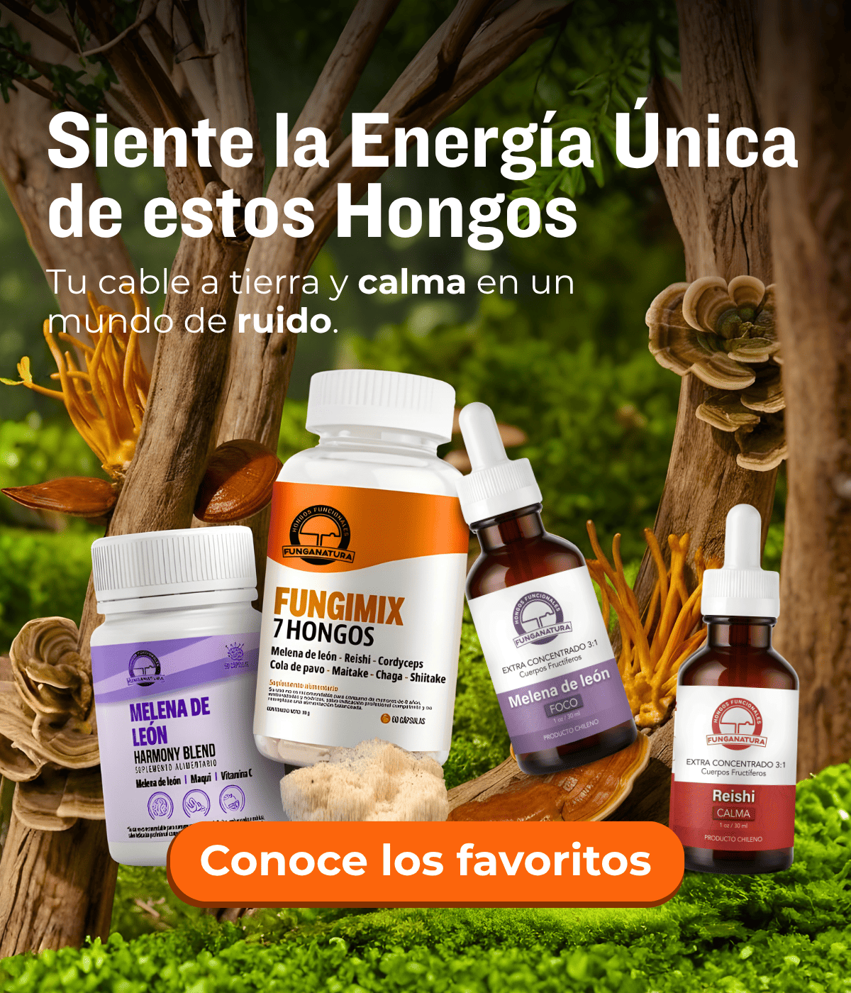 Imagen de diapositiva