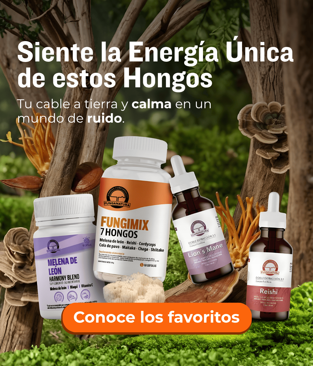 Imagen de diapositiva