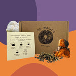 Té digestión Melena de león y Chaga