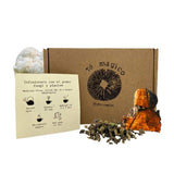 Té digestión Melena de león y Chaga