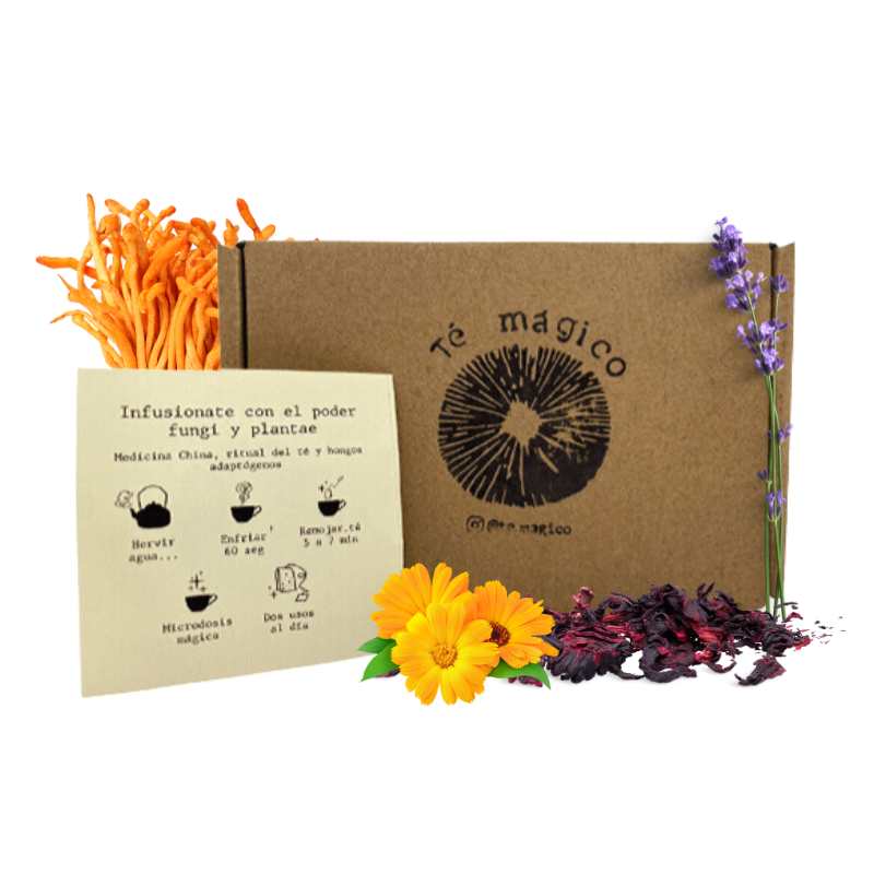 Té Cordyceps Caléndula- Lavanda