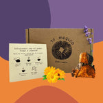 Té Chaga Caléndula