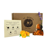 Té Chaga Caléndula