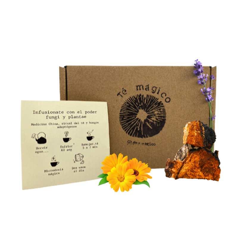 Té Chaga Caléndula