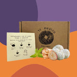 Té Melena de león Manzana- Cedrón