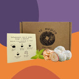 Té Melena de león Manzana- Cedrón