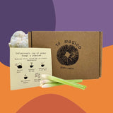 Té Melena de león Lemongrass