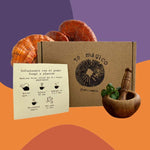 Té Reishi para Dormir