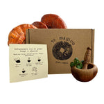 Té Reishi para Dormir