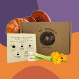 Té Reishi Caléndula- Lemongrass