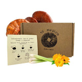 Té Reishi Caléndula- Lemongrass