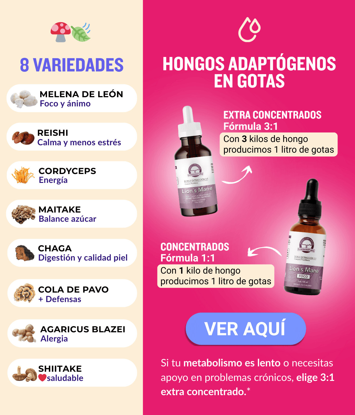 Imagen de diapositiva