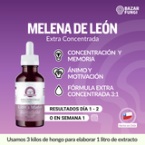 Melena de león Extra Concentrado