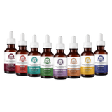 Pack 8 gotas extra concentradas Melena de león Reishi Cordyceps Cola de Pavo Maitake Chaga Shiitake Agaricus blazei Bazar Fungi