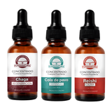 Pack de hongos adaptógenos para soporte inmunológico Bazar Fungi chaga cola de pavo y reishi gotas doble extraccion