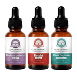 Pack enf neurodegenerativas Melena de leon Reishi Cola de Pavo doble extraccion