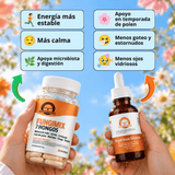 Pack Primavera · Agaricus blazei y Fungimix