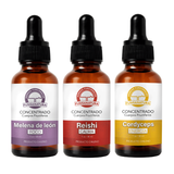 Tripack Equilibrio Energético Concentrado Melena de león Reishi Cordyceps gotas doble extracción 1:1 