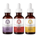 Tripack Equilibrio Energético Extra Concentrado Melena de león Reishi y Cordyceps