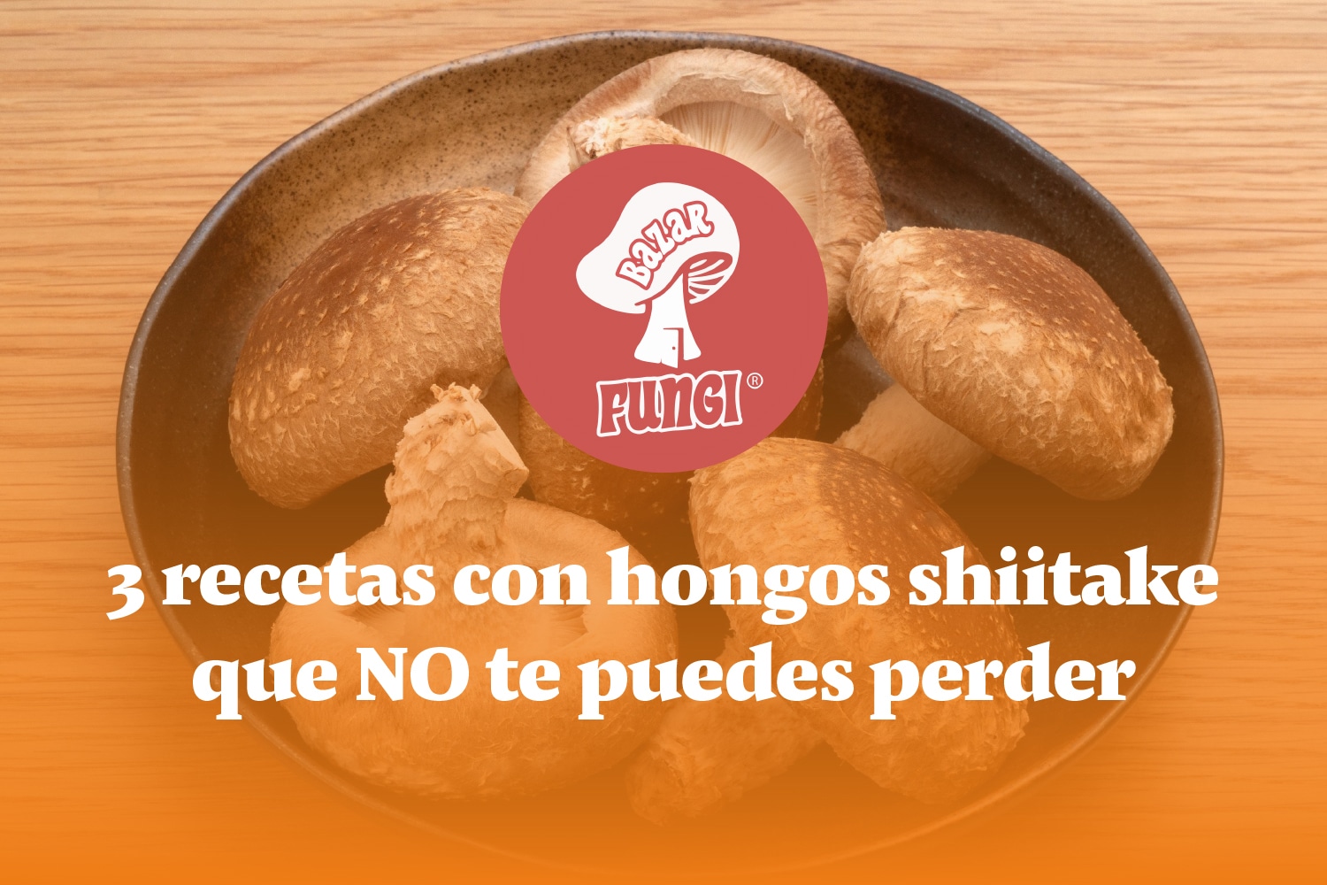 Recetas con hongos shiitake una verdadera delicia para tu paladar